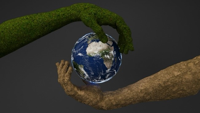 Elul Day 25 - Stewardship